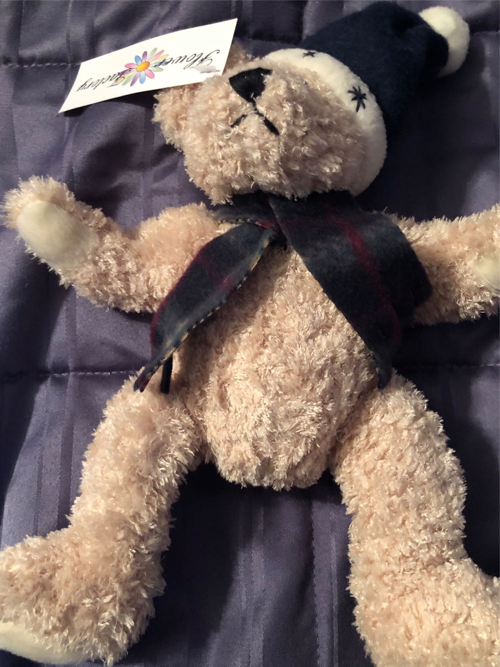 The Legend Of Zelda: Wind Waker - Princess Zelda