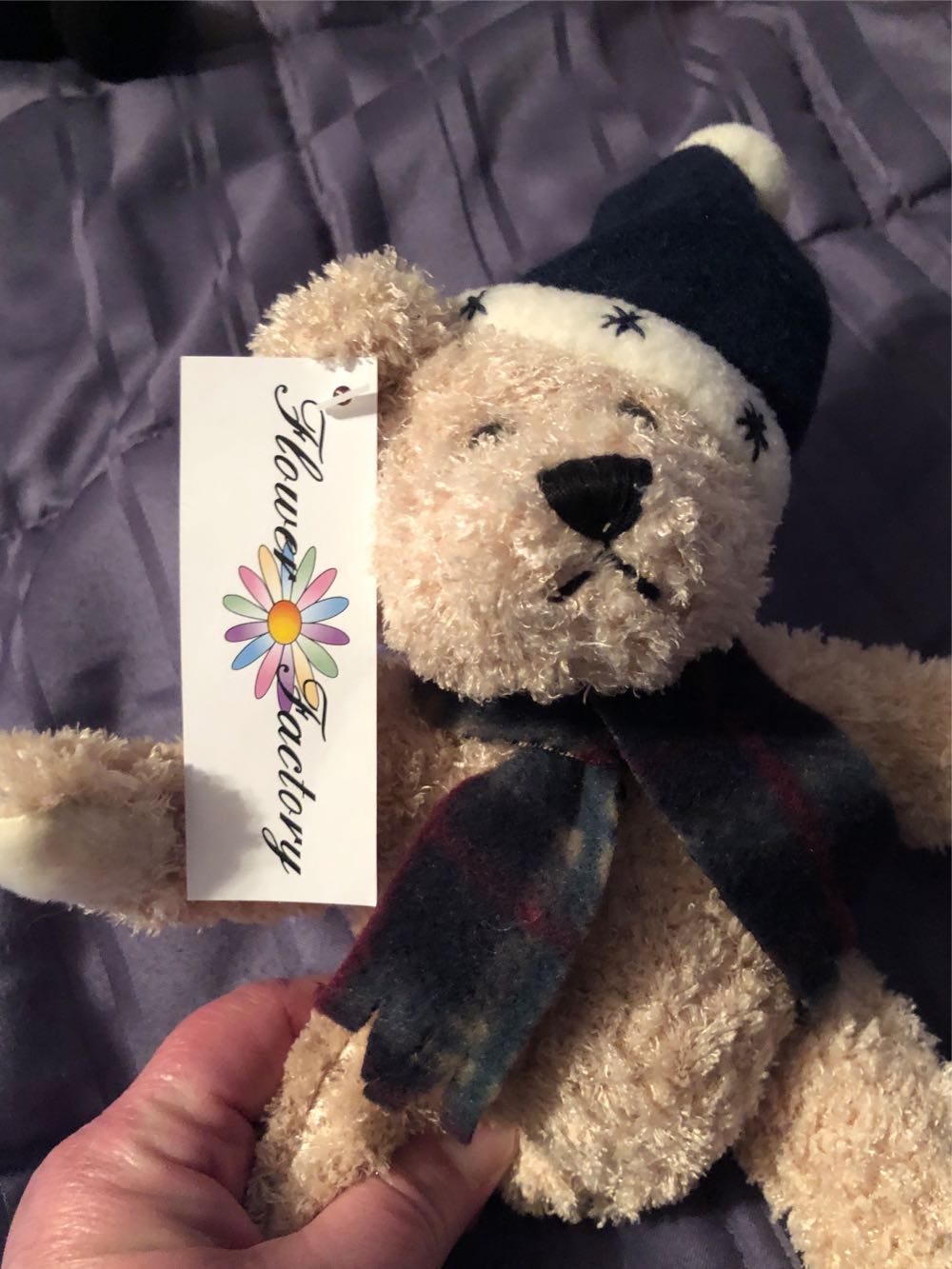 Flower Factory Bear  plush collectible [Barcode 840463039991] - Main Image 2