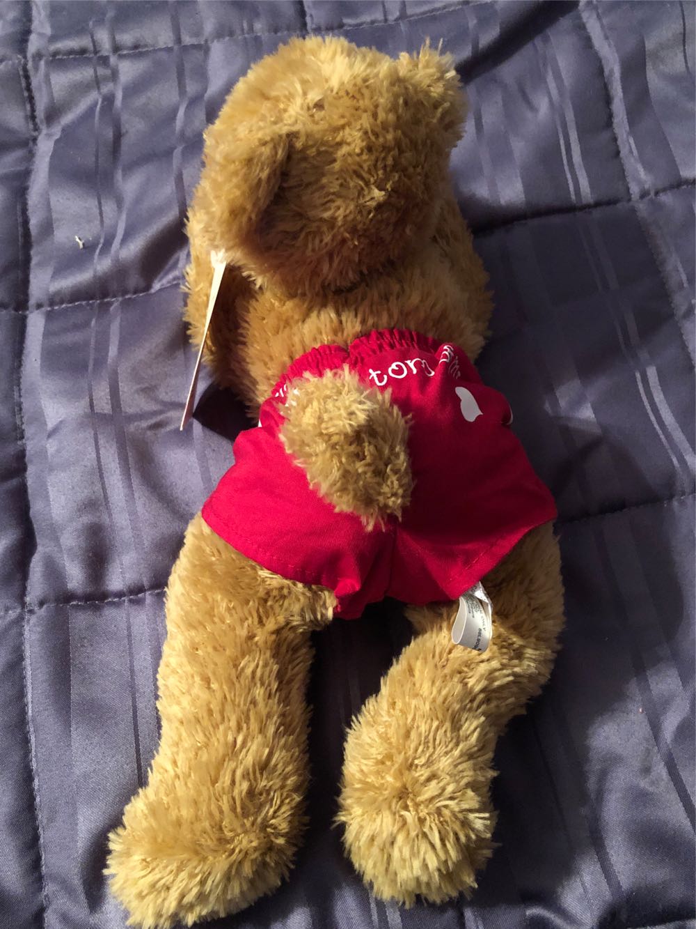 Bobby Boxer  plush collectible [Barcode 015012737981] - Main Image 3