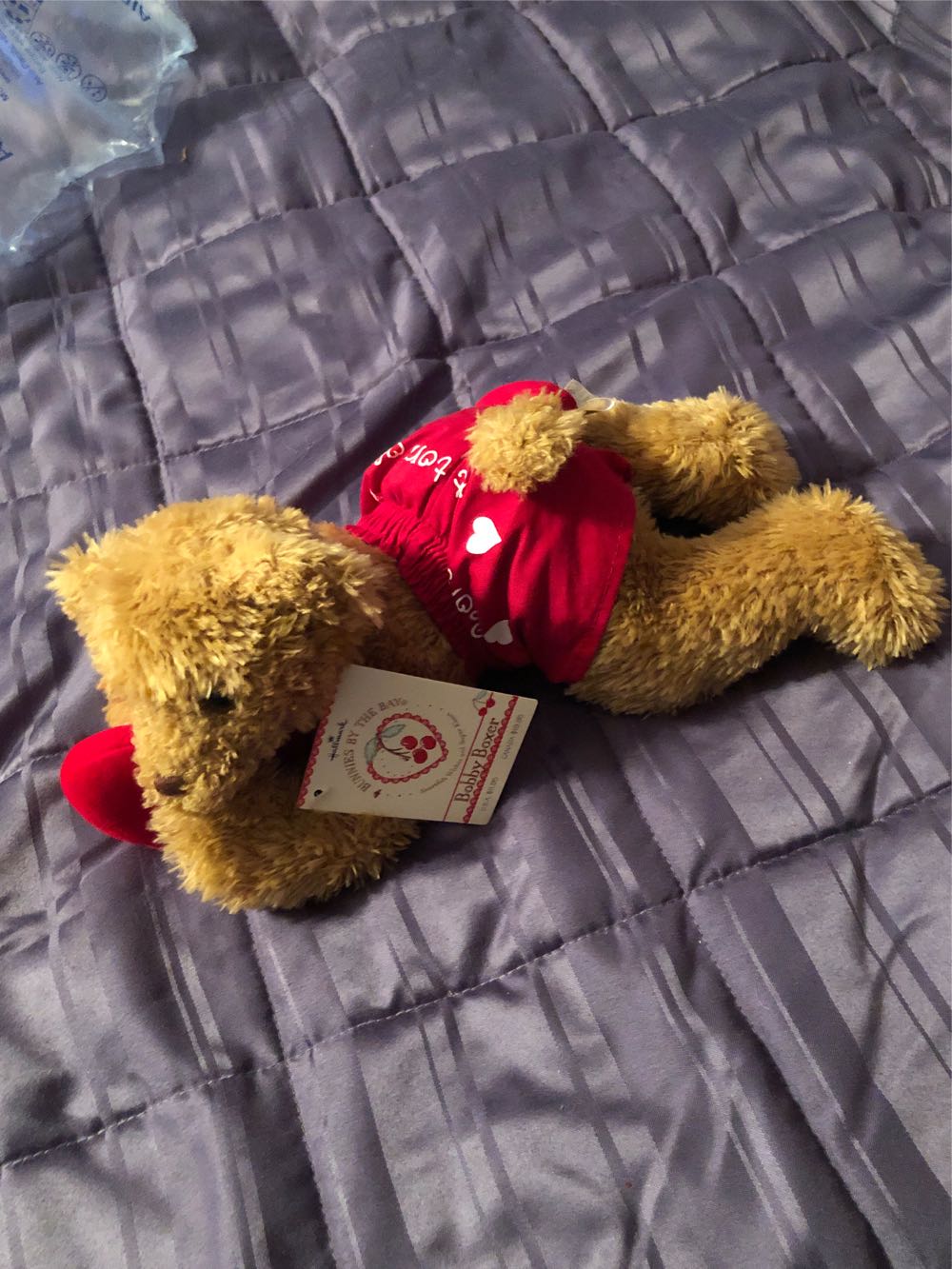 Bobby Boxer  plush collectible [Barcode 015012737981] - Main Image 4