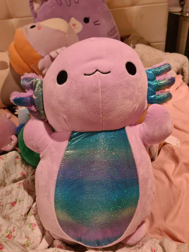 Quackers the Duck (Buddy)