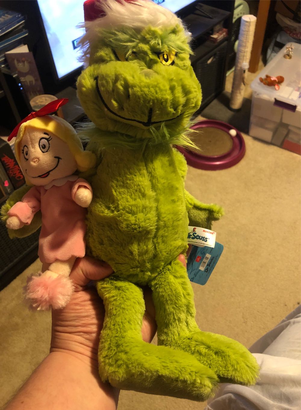 2023 Graduation Teddy Bear