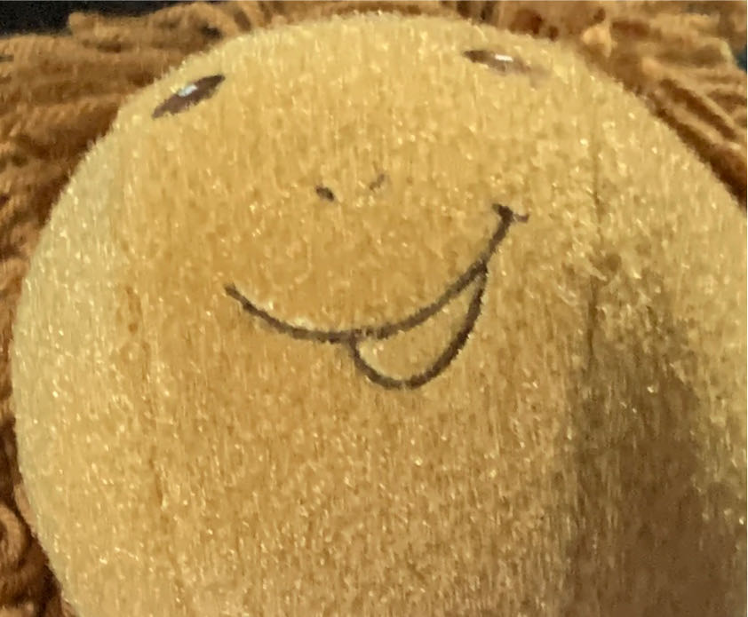 Pokemon 237: Hitmontop