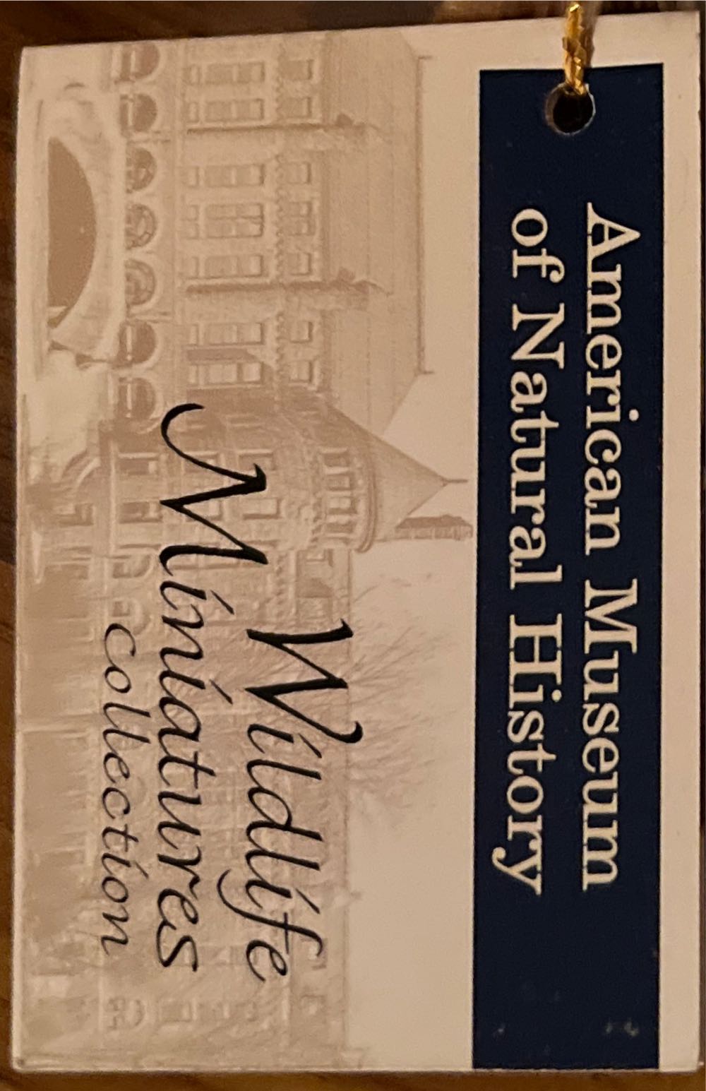 American Musuem Of History Lion  plush collectible - Main Image 2