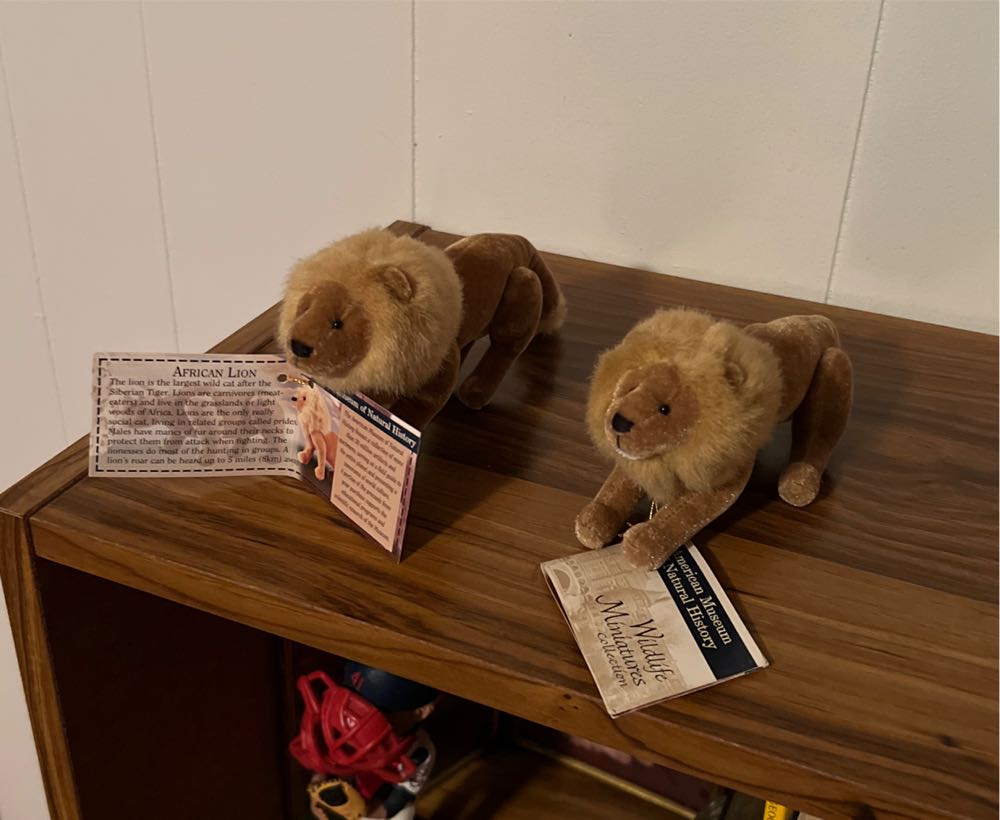 American Musuem Of History Lion  plush collectible - Main Image 4