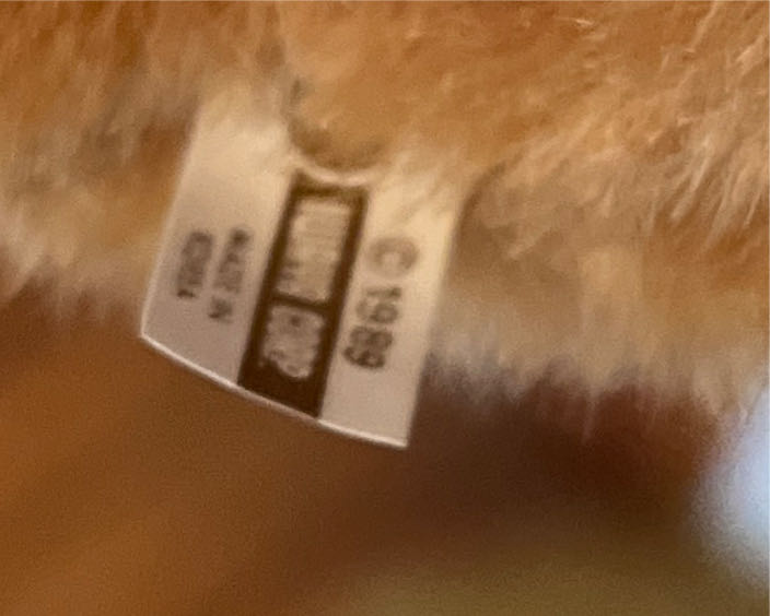 Iwaya Group Walking Lion  plush collectible - Main Image 4