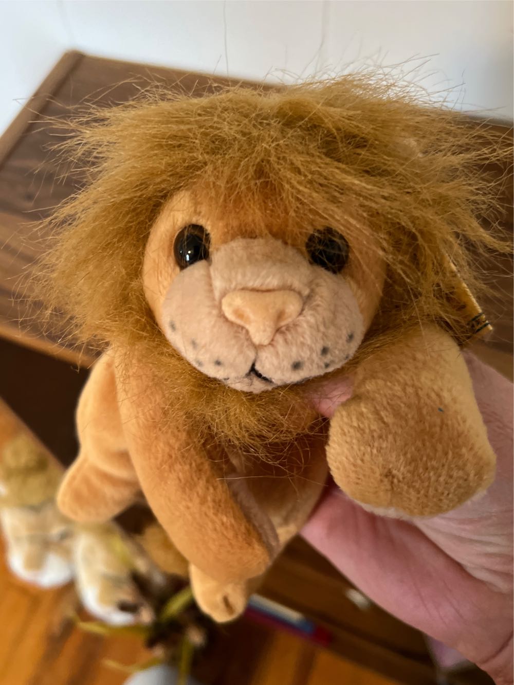 Nature Bean Buddies Lion  plush collectible - Main Image 4
