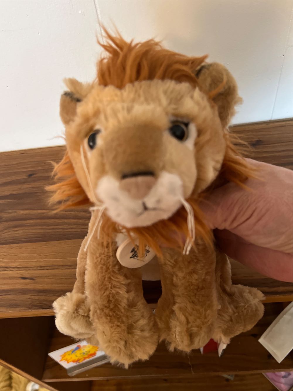 Roosevelt Park Zoo Lion  plush collectible - Main Image 4