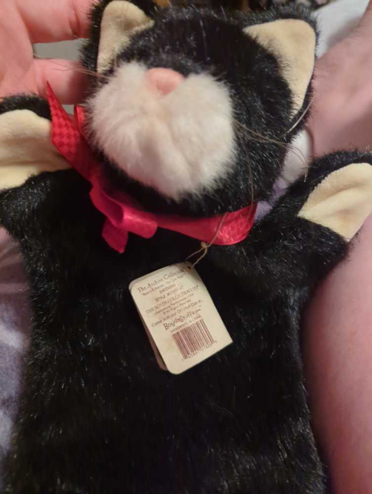 American German Shepard