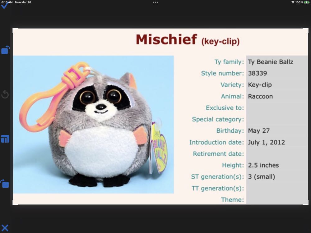 Guinea Pig - Everett