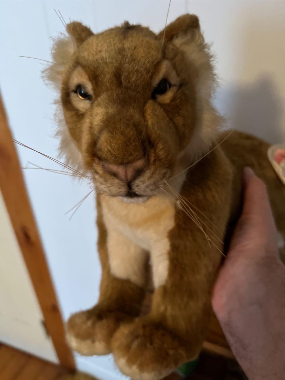 Hansa Lion  plush collectible - Main Image 4