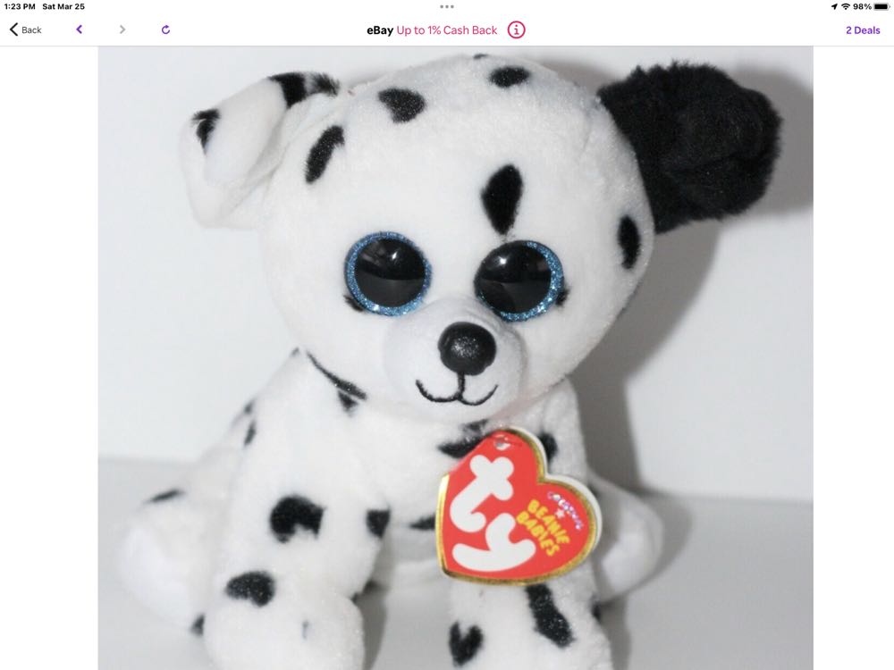 Gordon The Shark, 12” Squishmallow S12 #163-13