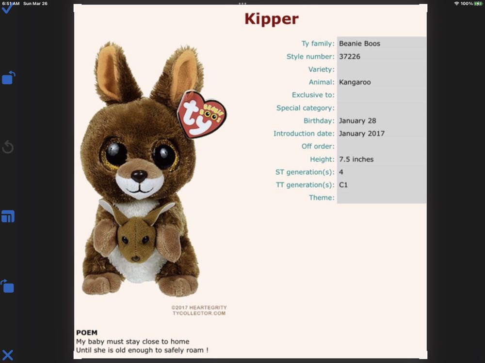 January Rembrandt The Bear 