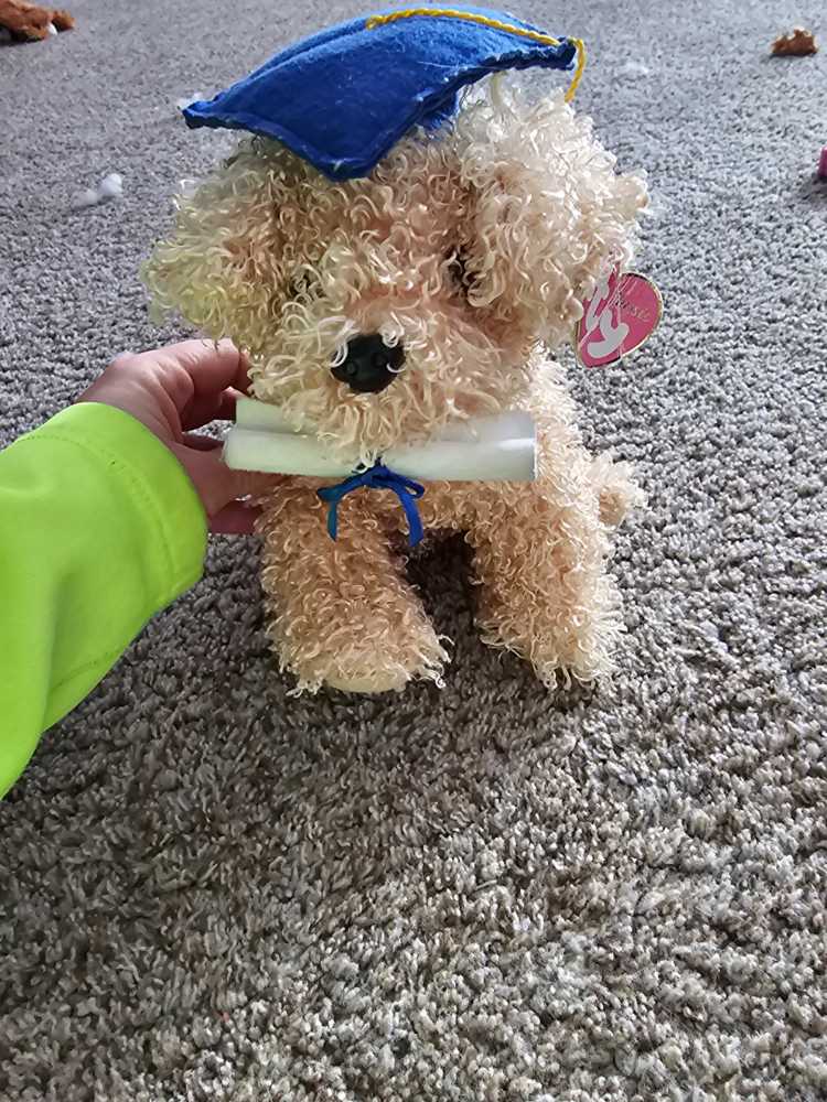 Diploma The Graduation Dog (Classic Buddy)  plush collectible [Barcode 008421200290] - Main Image 2