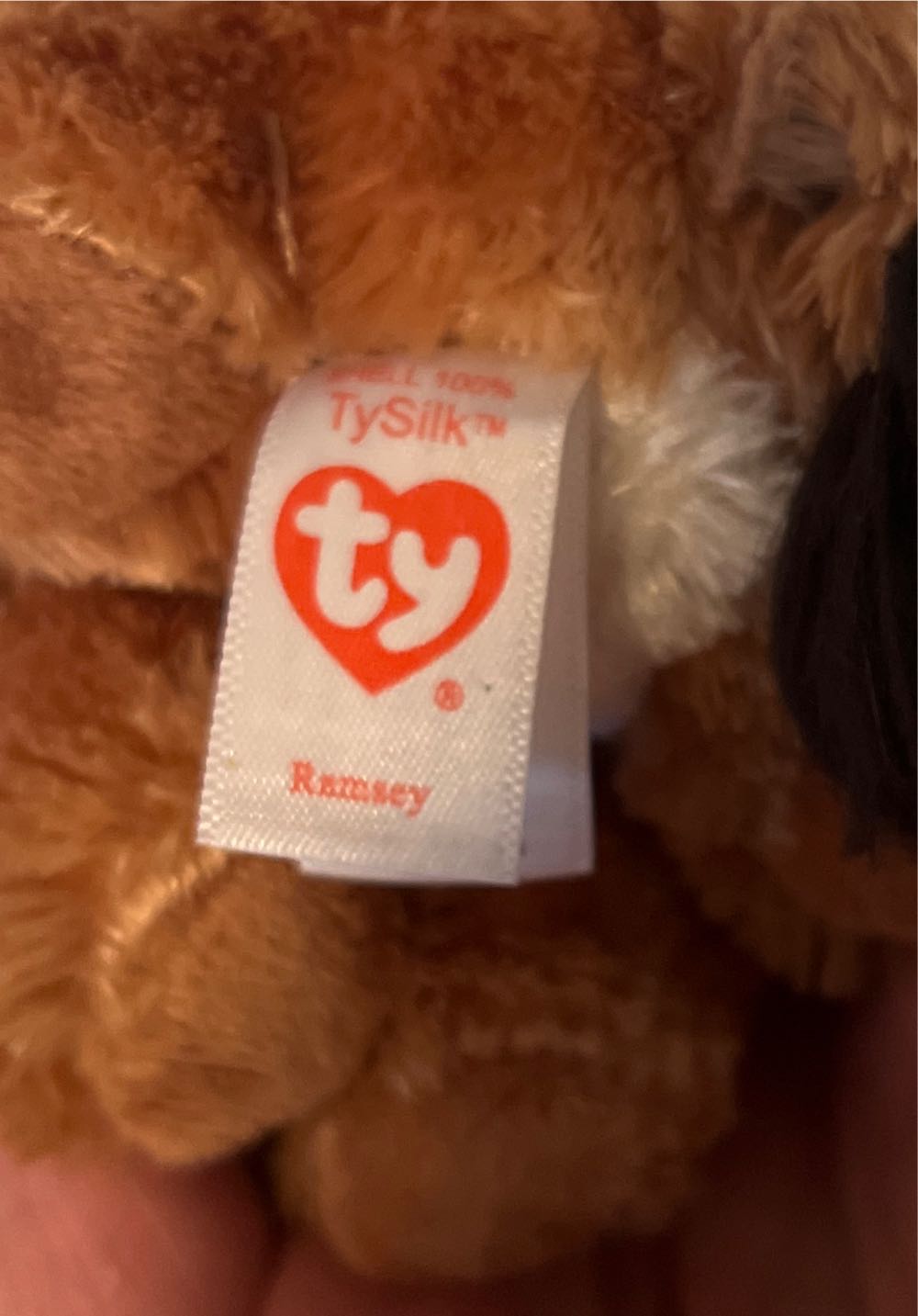 V TY Ramsey  plush collectible - Main Image 3