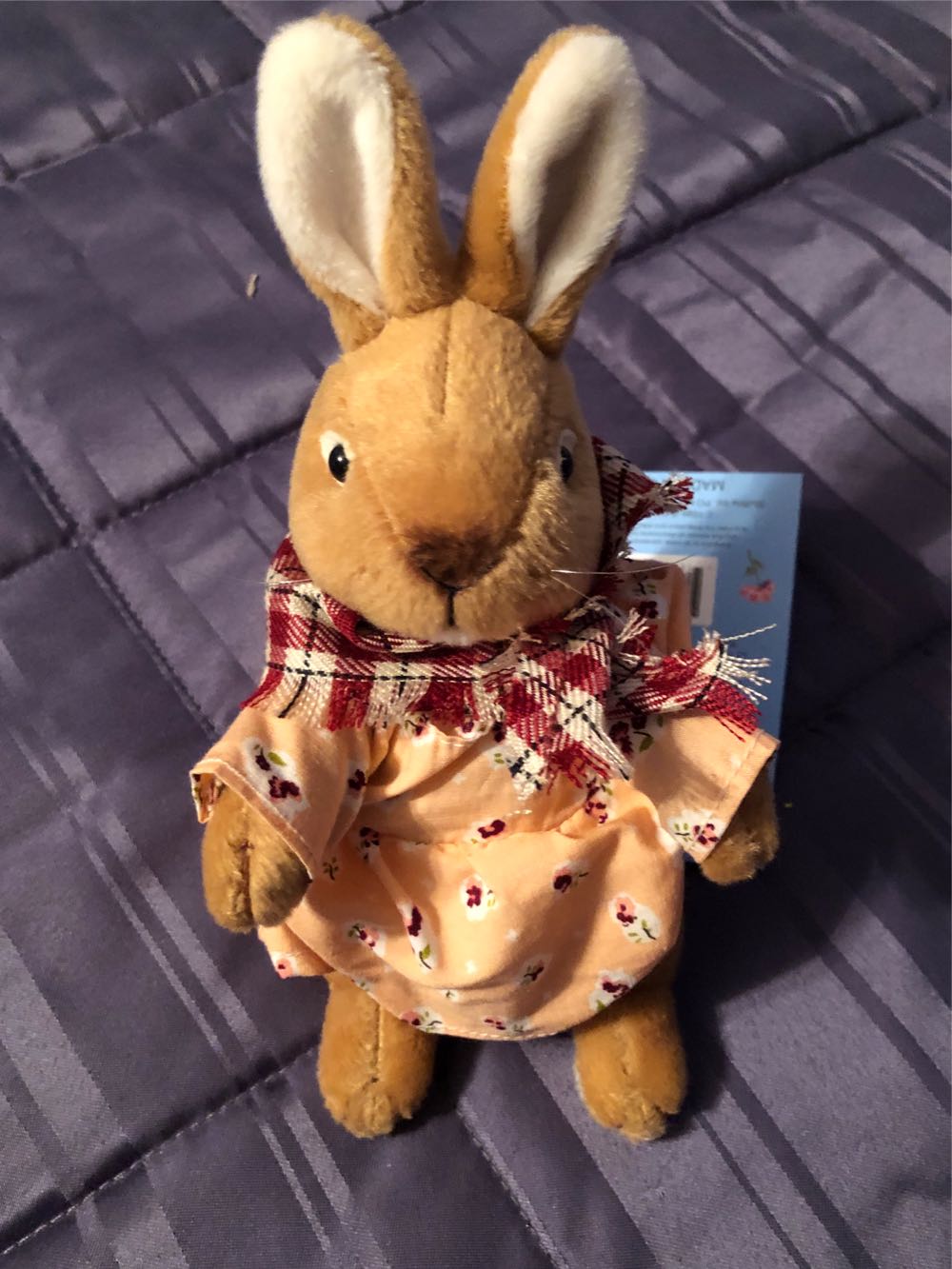 CVS Peter Cottontail Mrs Cottontail  plush collectible [Barcode 719579069331] - Main Image 2