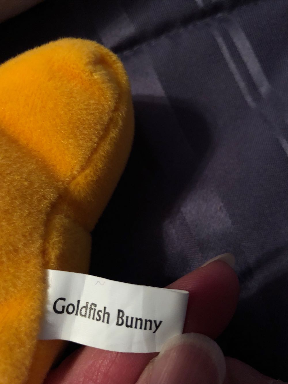 Goldfish Bunny 5”  plush collectible - Main Image 3