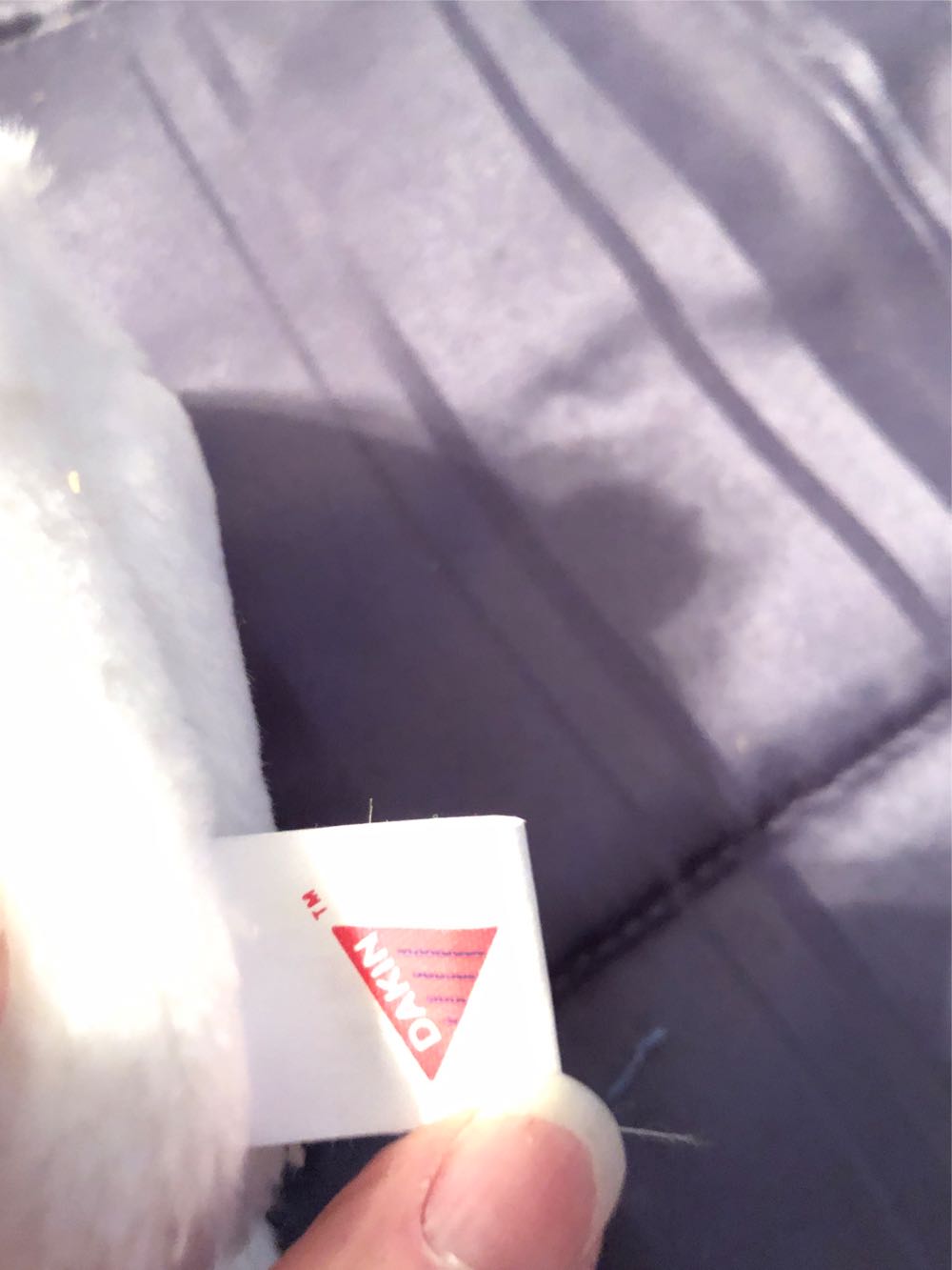 RCA Chipper & Nipper  plush collectible - Main Image 3