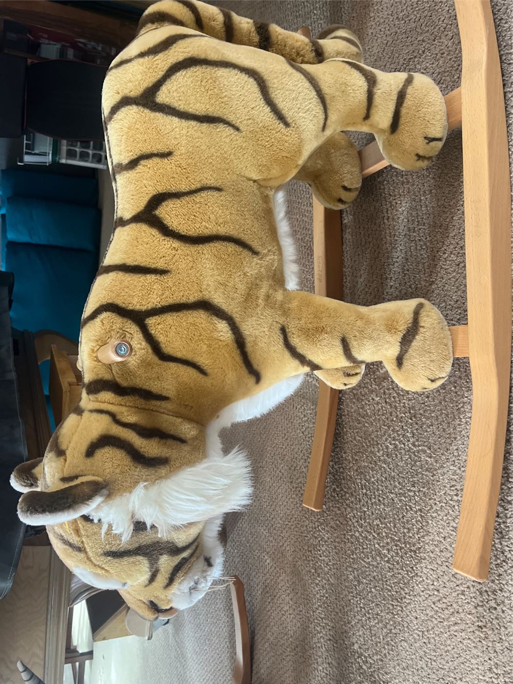 **Bailey Boyd’s Bears