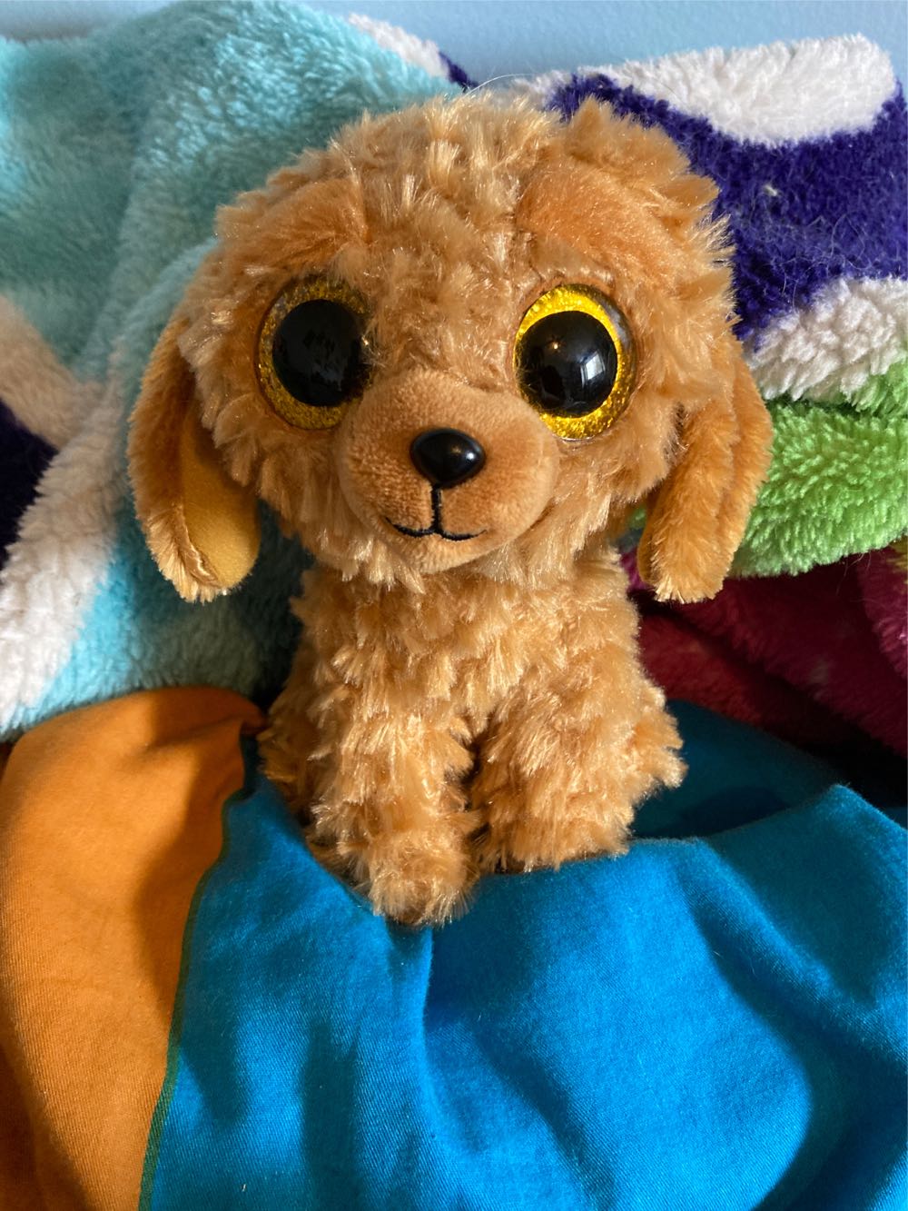 Pokemon 91: Cloyster