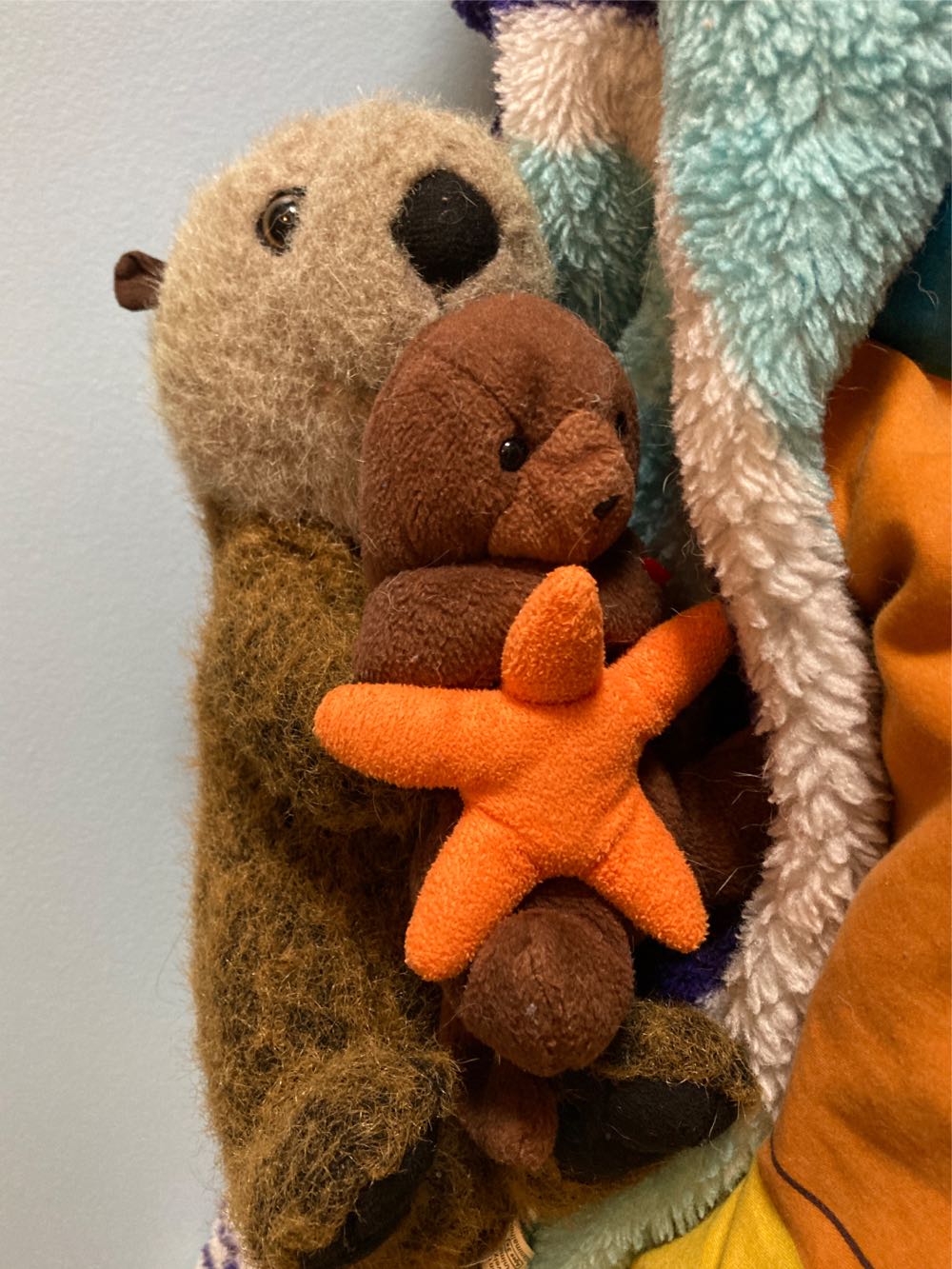 Carina The 5” Moon&Stars Mushroom Squishmallow