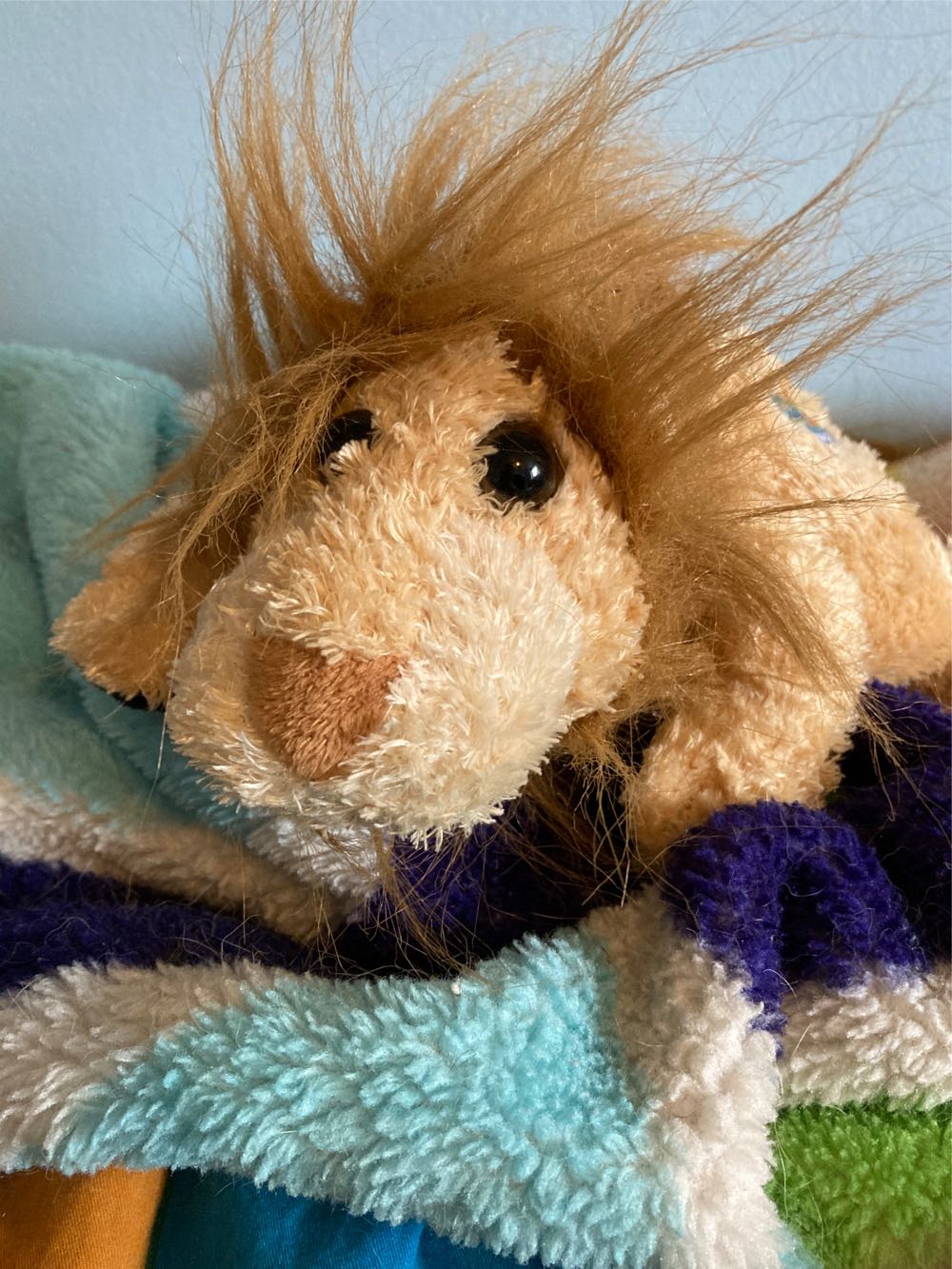 Lexie the Cat (CLASSIC)