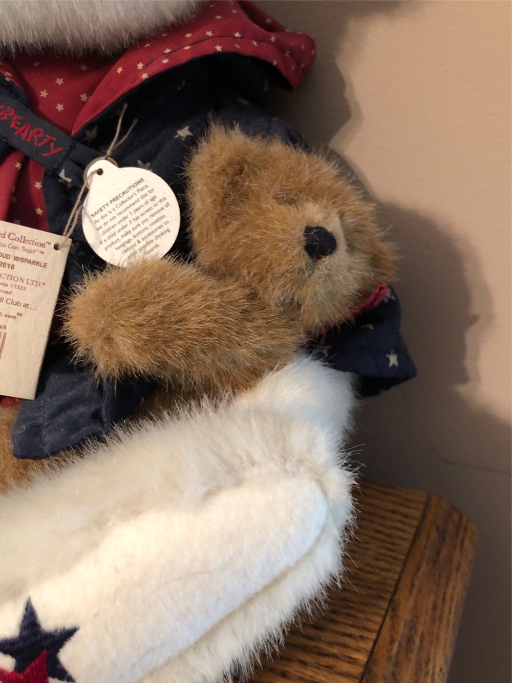 Boyd’s Starr B Bearyproud  plush collectible [Barcode 765867202386] - Main Image 3
