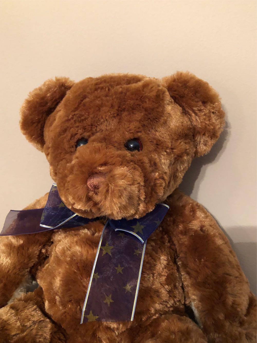 2002 Princess Bear  plush collectible - Main Image 2