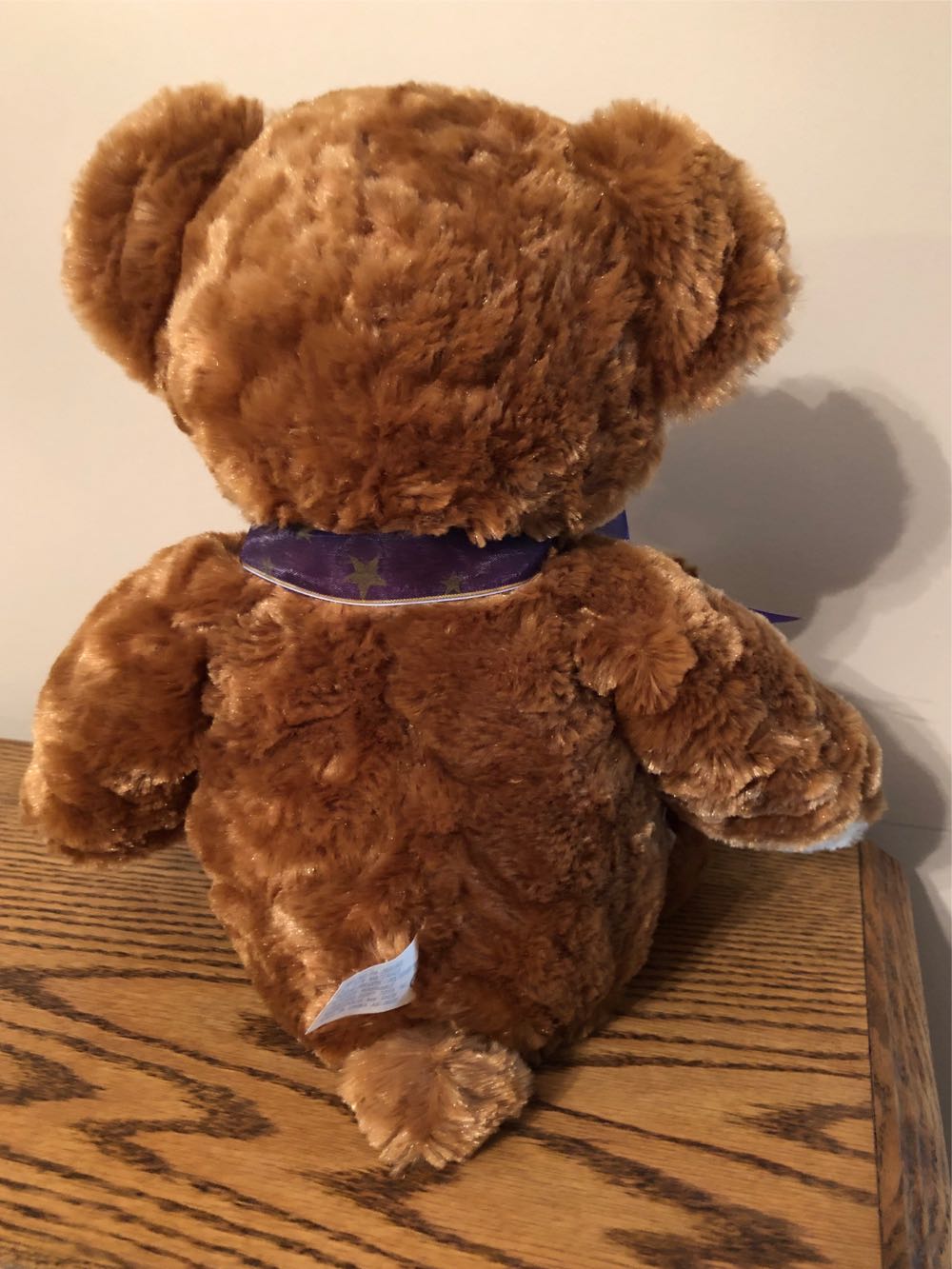 2002 Princess Bear  plush collectible - Main Image 4