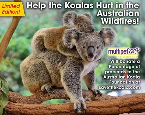 Misfit Spotted Elephant