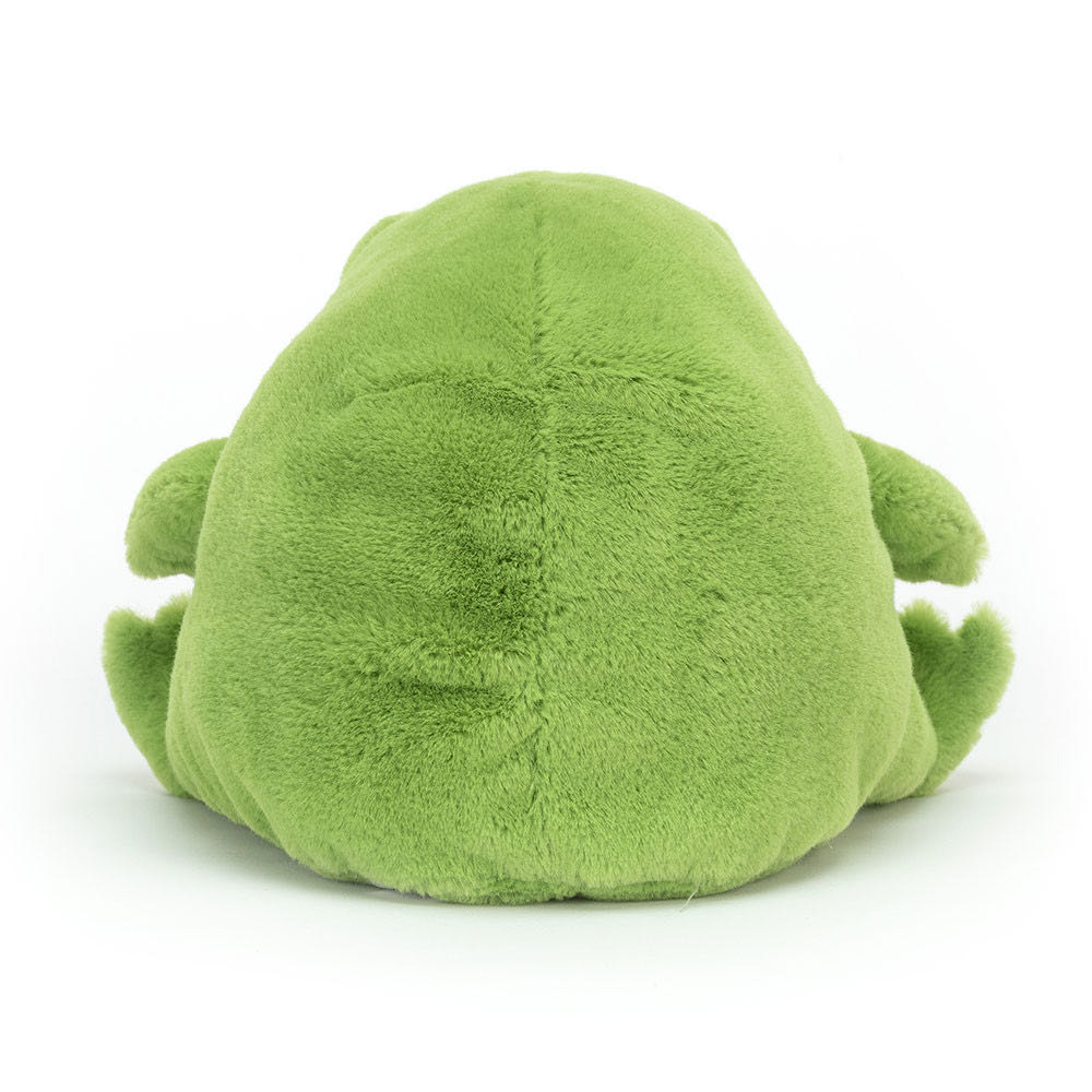 Jellycat Ricky Rain Frog Stuffed Animal  plush collectible [Barcode 670983133899] - Main Image 2