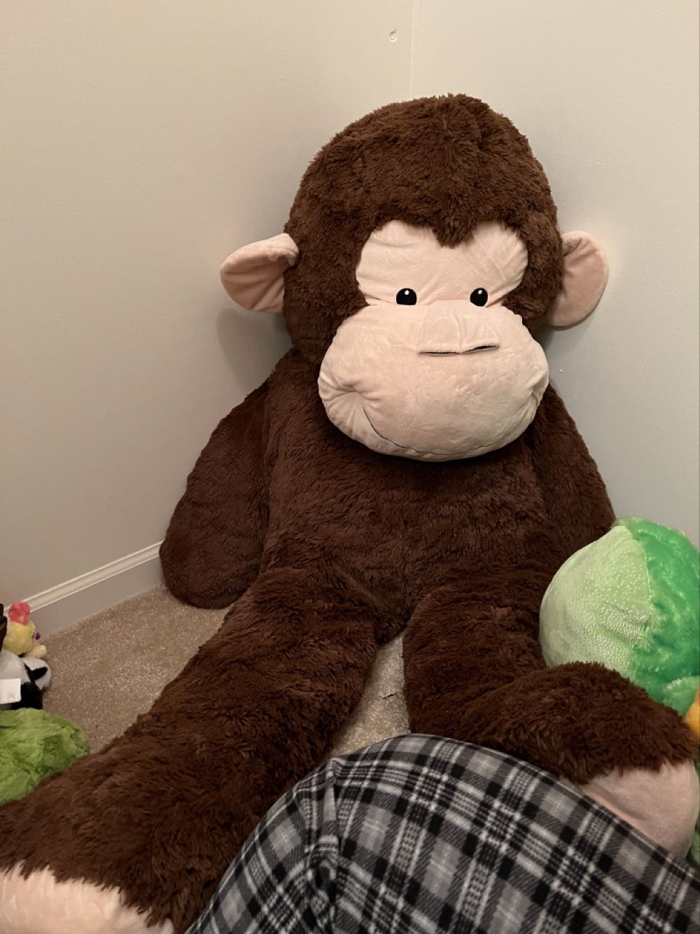 Ty Derby (no star, fine mane)