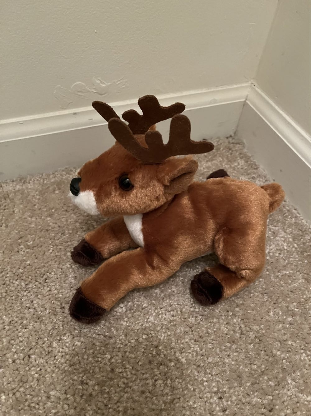 Crankie Flowers Frog