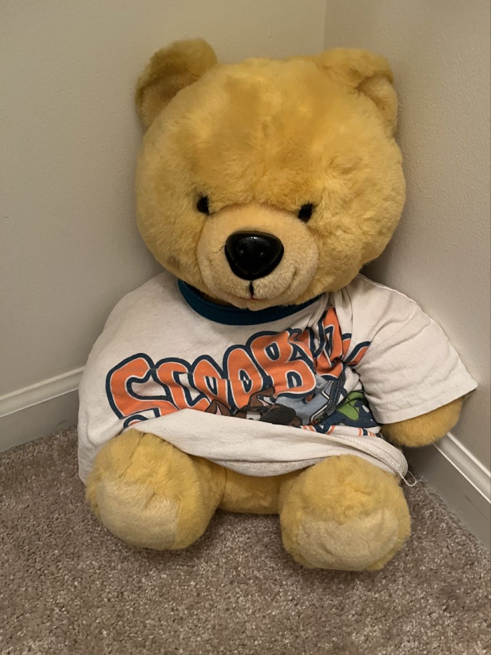 Cassidy the Cat (CLASSIC)