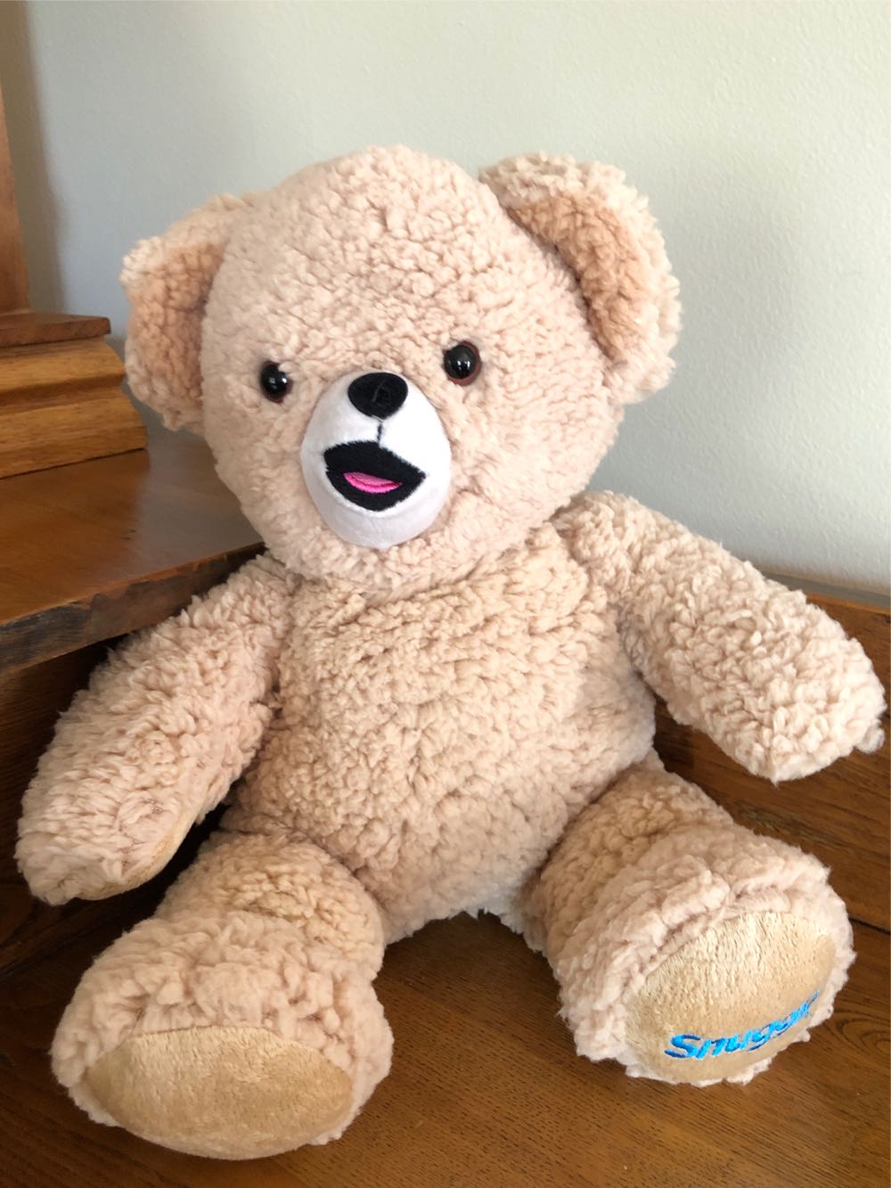 Tiny Big Red Shoe Bear