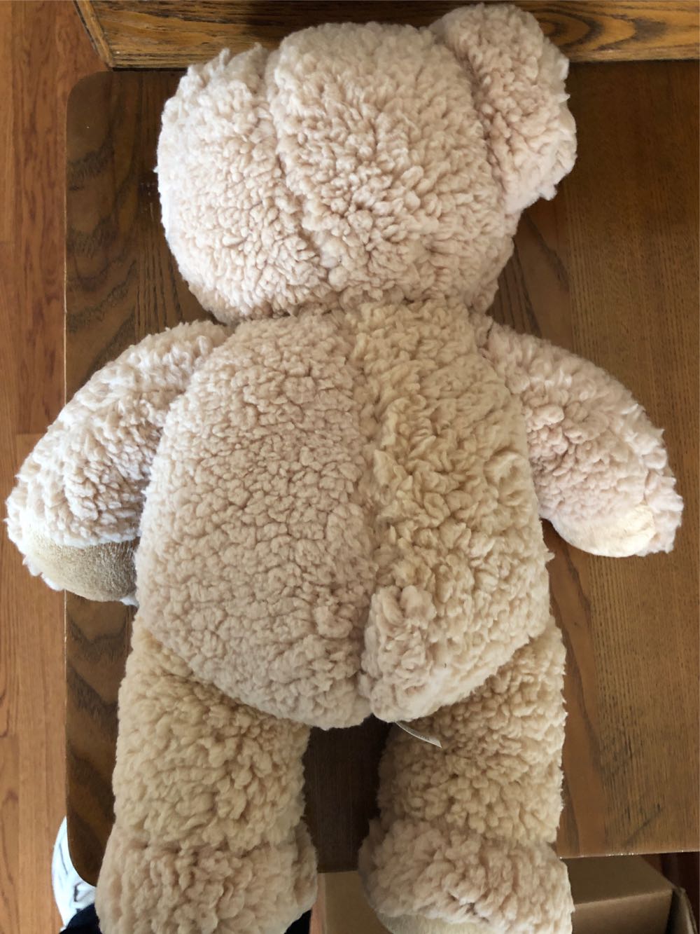 **Snuggle Bear  plush collectible - Main Image 2