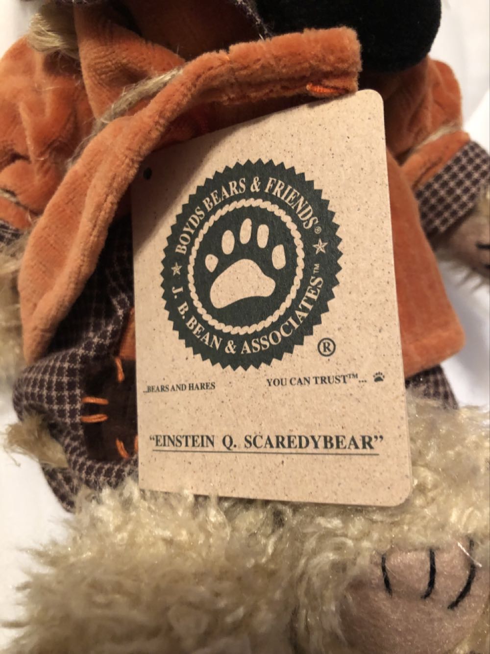 Boyds Bears Einstein Q. Scaredybear Scarecrow With Bird #917368 Original Tags Bear 10” Boyd’s Teddy Retired  plush collectible [Barcode 765867005765] - Main Image 2