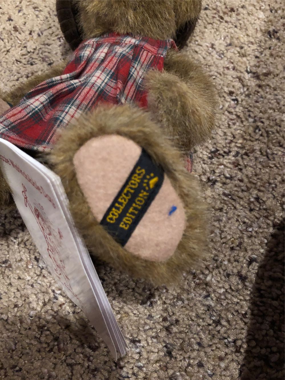 Boyd’s Bears Lizzie Wishkabibble Day Teddy Bear Collectors Edition Boyds Bears ”lizzie Wishkabibble” 10” Jointed With Tags Book #50002 10” & W Signed Tag Collection New ~ W Hat Poseable W Tags Archive Free Nwt Special Event Vintage Mint W Book 11” 50002 W  plush collectible [Barcode 765867011216] - Main Image 2