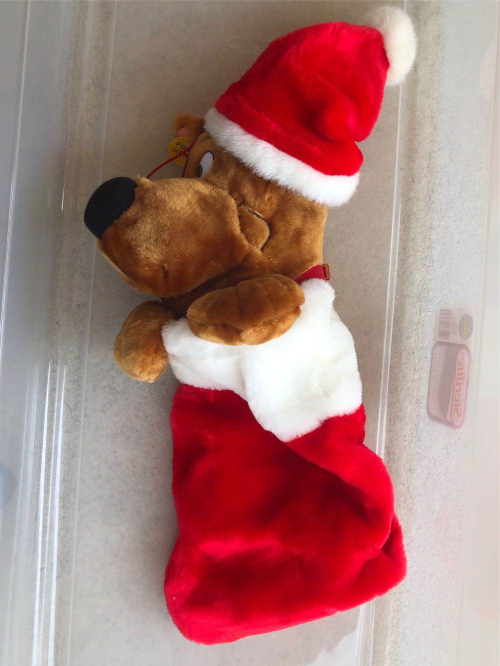 The Rocky Horror Picture Show Widescreen Edition