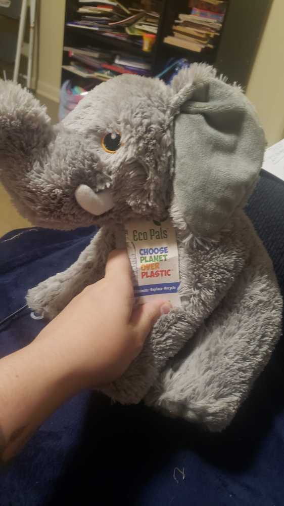 Paw Patrol ZUMA Orange Dog