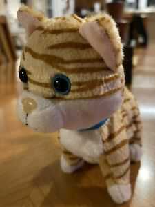 Patriotic (CLASSIC BUDDY)