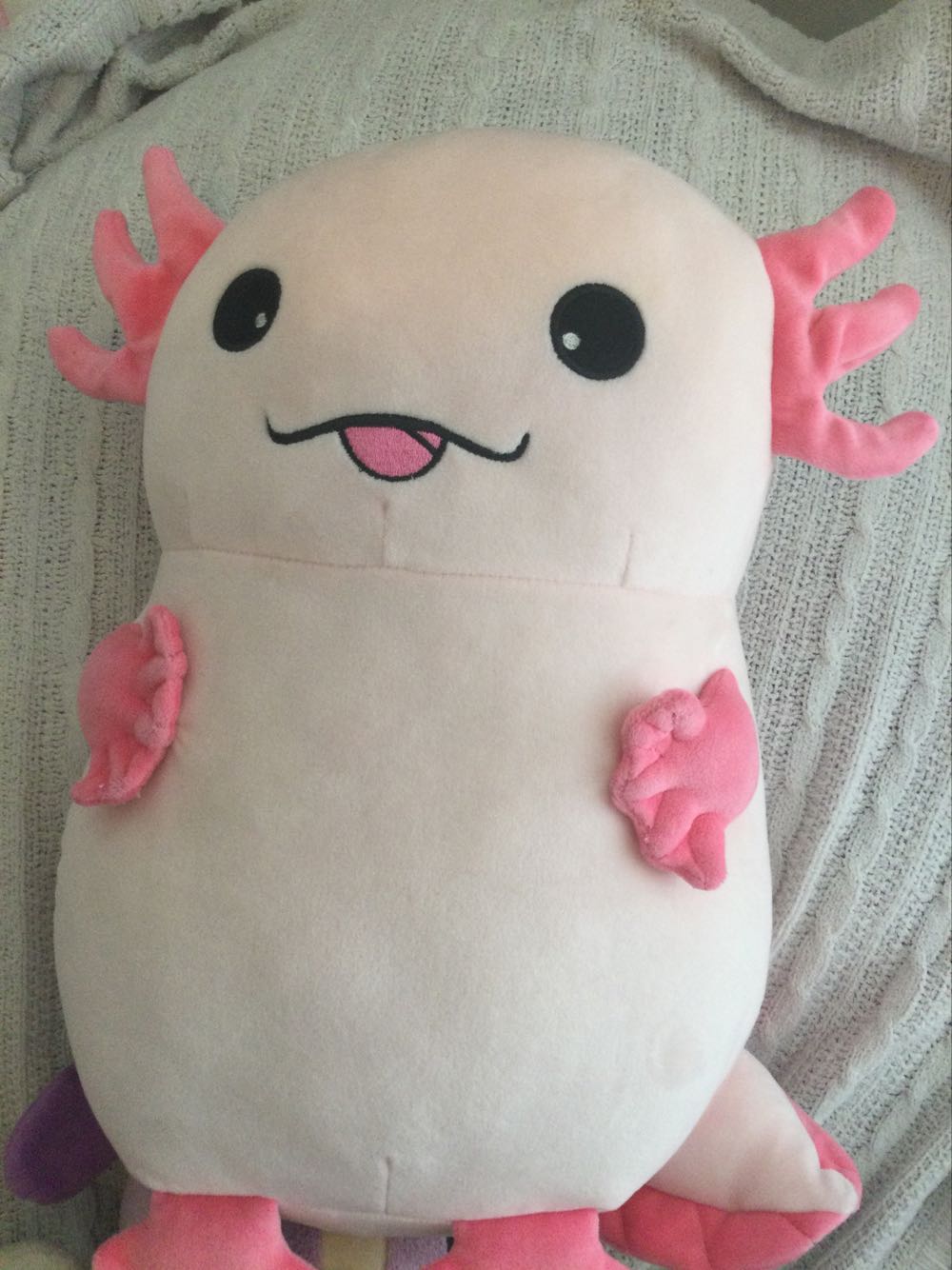 Boyd’s Bears Lizzie Wishkabibble Day Teddy Bear Collectors Edition Boyds Bears ”lizzie Wishkabibble” 10” Jointed With Tags Book #50002 10” & W Signed Tag Collection New ~ W Hat Poseable W Tags Archive Free Nwt Special Event Vintage Mint W Book 11” 50002 W