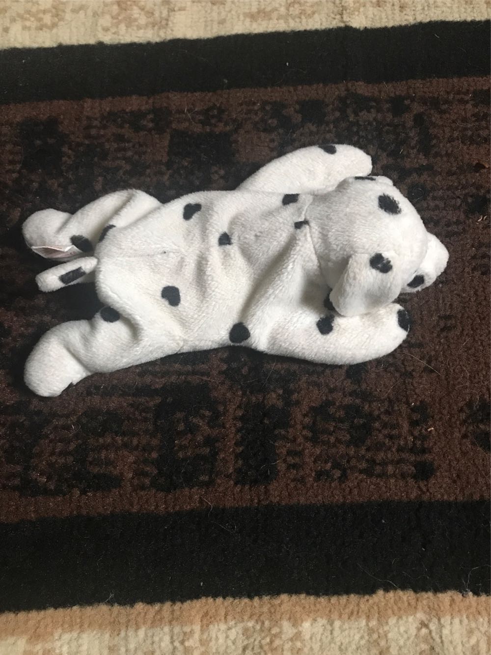 Color Me Bear (Red Ribbon)