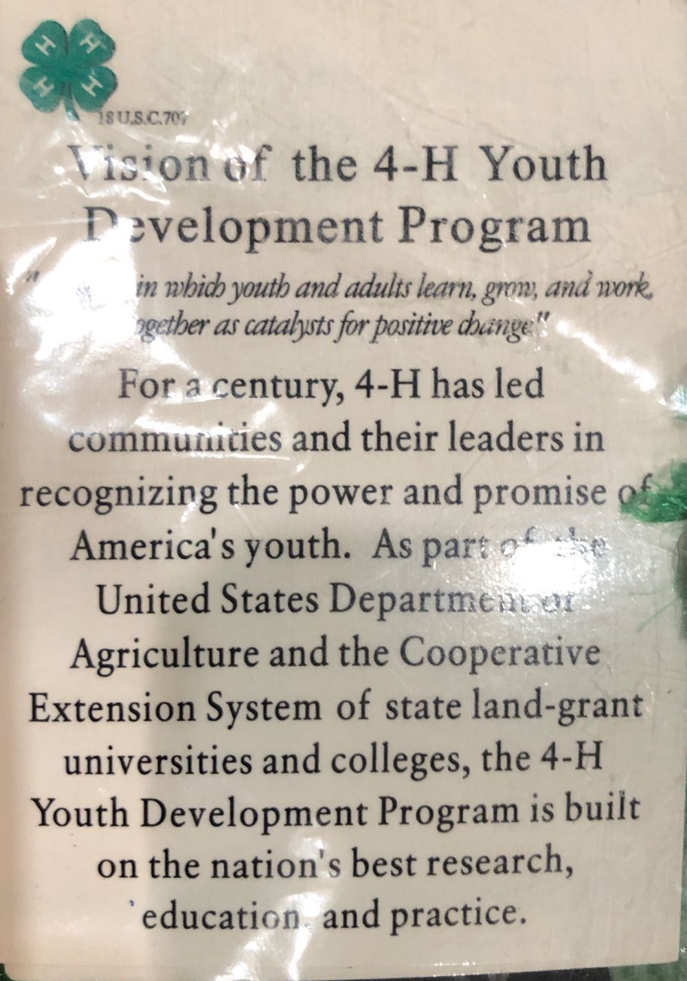 4H Glory Be Bear  plush collectible - Main Image 2