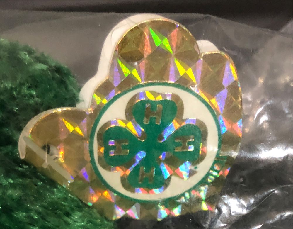 4H Glory Be Bear  plush collectible - Main Image 3