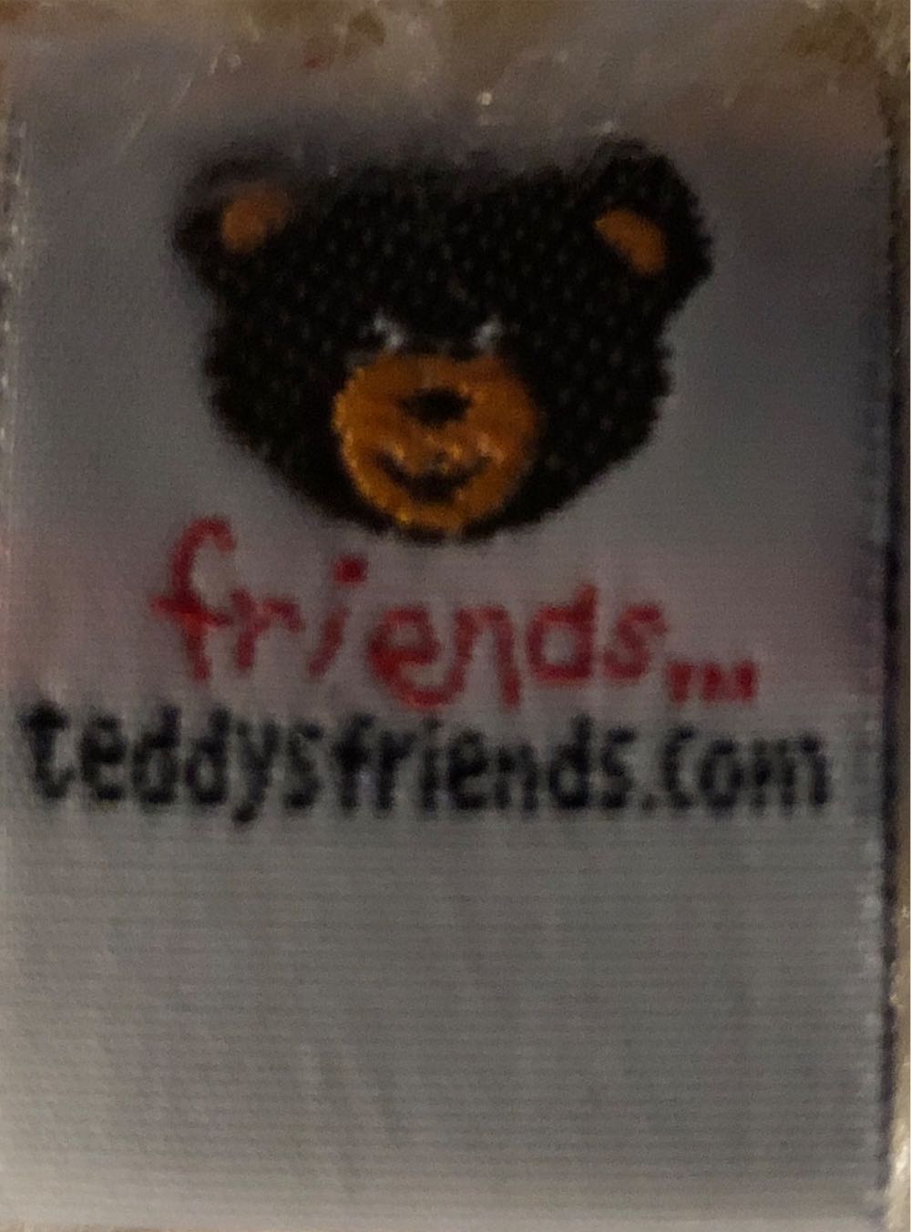 Hershey’s Birthday Bear  plush collectible - Main Image 3