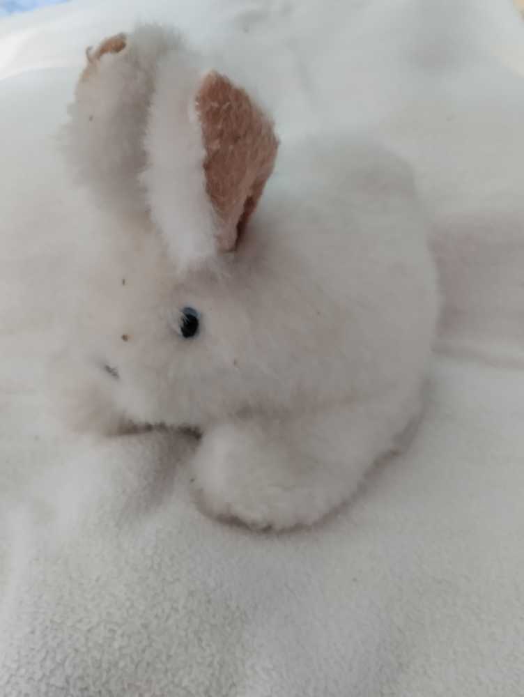 Lapin marionnette 22 cm  plush collectible - Main Image 1