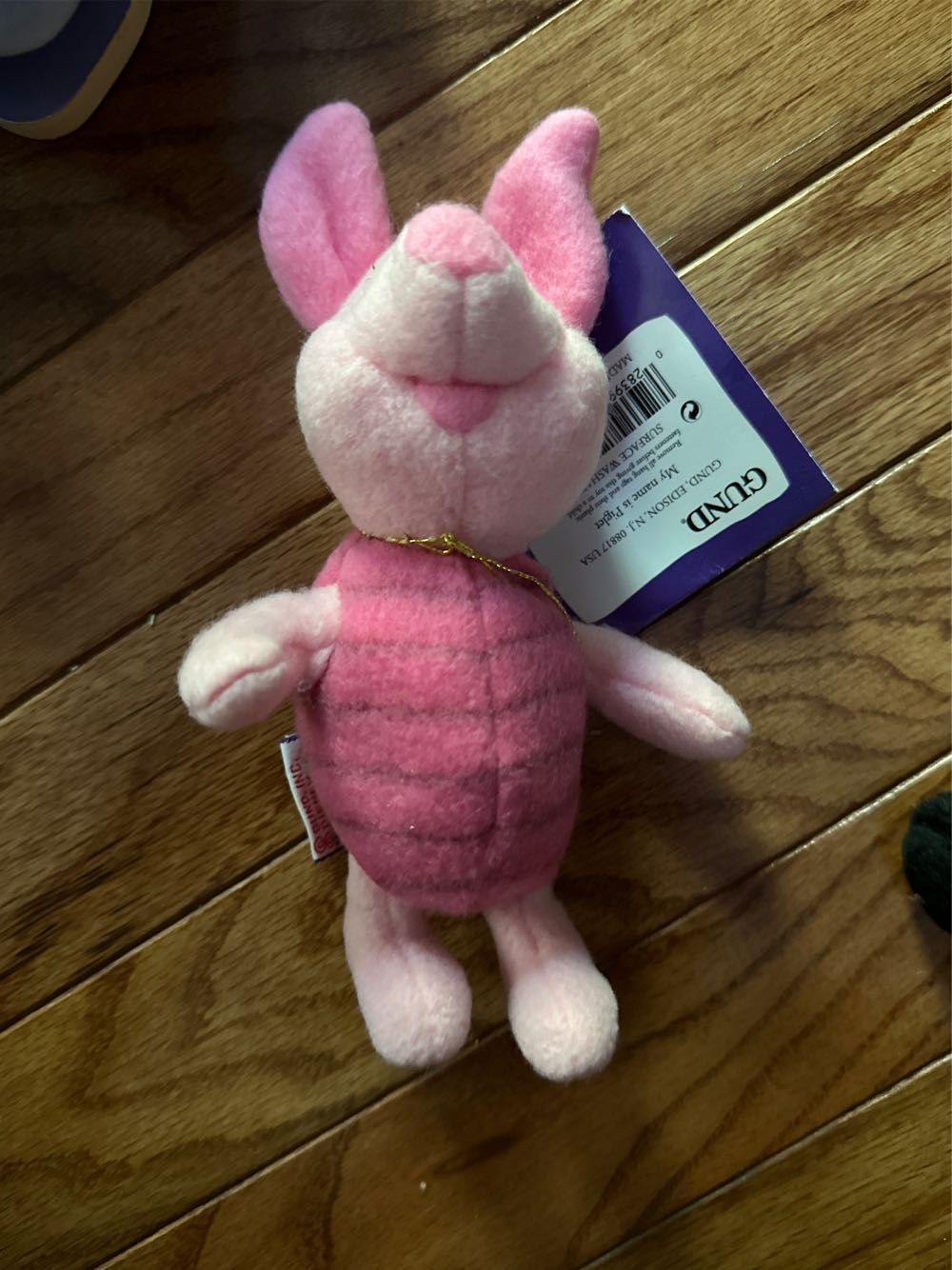 Charlotte the Spider 