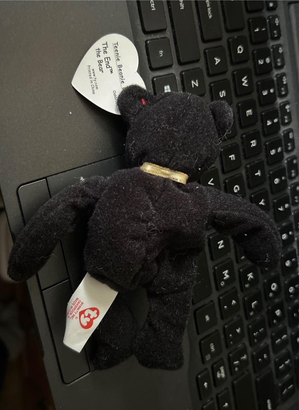 Tiny The End Bear  plush collectible - Main Image 2