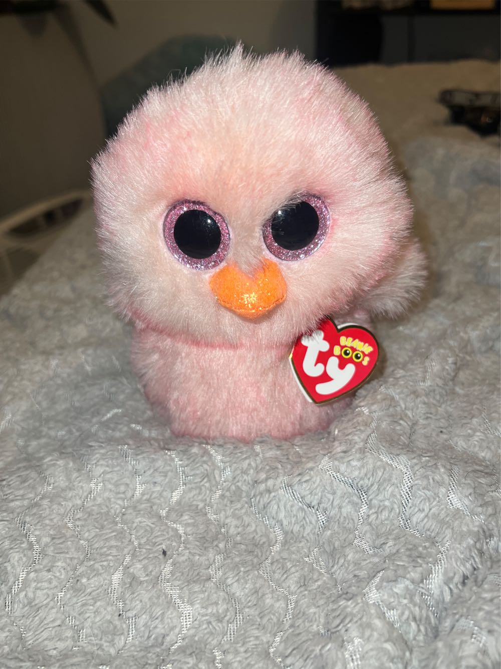 Charlotte the Spider 